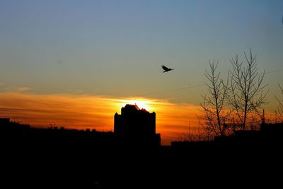 Silhouette of birds flying at sunset