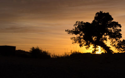 Silhouette tree on field against orange sky