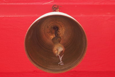 Close-up of snake against red background