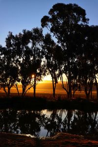 Silhouette trees by lake against sky during sunset