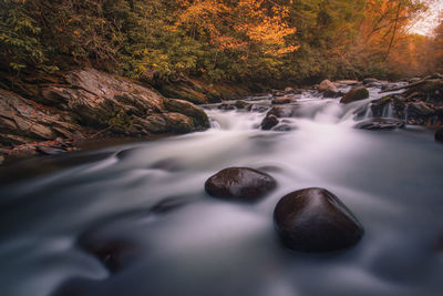 Scenic view of river cascades in the forestforests of the great smoky mountains national park 