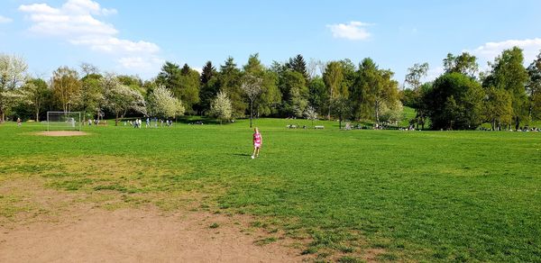 Scenic view of trees on field against sky