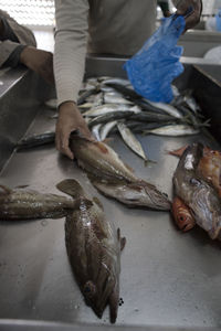 Midsection of man selling fish