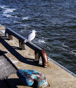 Water in sea