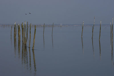 View of wooden posts in sea