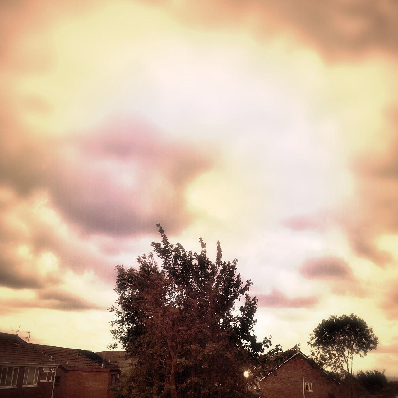 tree, sky, cloud - sky, low angle view, built structure, architecture, cloudy, sunset, cloud, high section, nature, beauty in nature, weather, overcast, scenics, outdoors, tranquility, no people, growth, dramatic sky, tranquil scene, idyllic