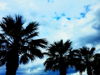 Low angle view of palm trees against cloudy sky