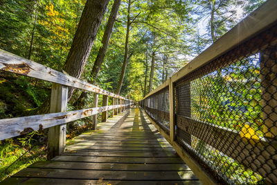 Empty boardwalk amidst trees at forest