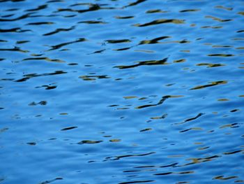 Full frame shot of rippled water