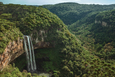 Caracol waterfall falling from rocky cliff in a canyon covered by forest near canela, brazil.