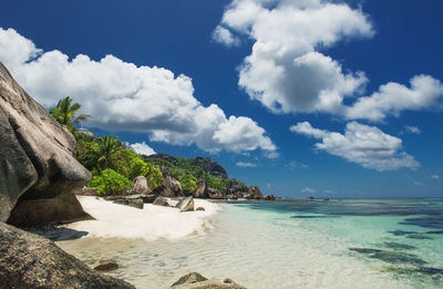 Beautiful tropical beach with palm trees and moody sky. beach scene and summer holiday concept