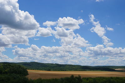 Scenic view of agricultural field against sky