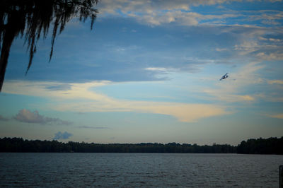 View of birds flying over lake against sky