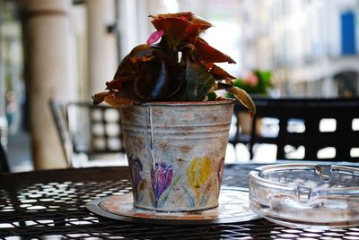 Close-up of food on glass table against building