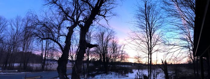 Bare trees on snow covered landscape during sunset