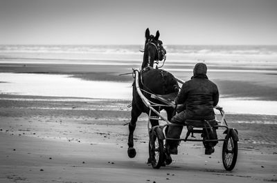 Rear view of a man and a horse on beach