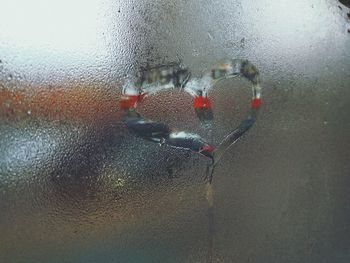 Close-up of wet glass window in rainy season