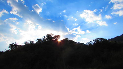 Silhouette of trees against blue sky