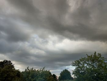 Low angle view of trees against storm clouds