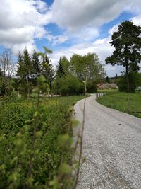 Road amidst green landscape against sky