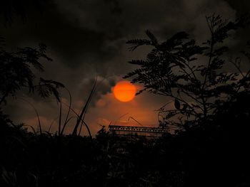 Low angle view of silhouette trees against sky during sunset