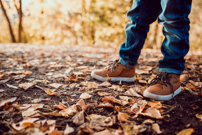 Closeup of toddler's boots on bright autumn leaves background. child walking in the park