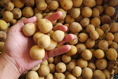 Close-up of fruits for sale