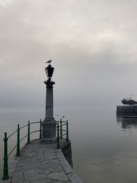 View of seagull on sea against sky