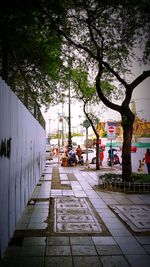 View of footpath along trees