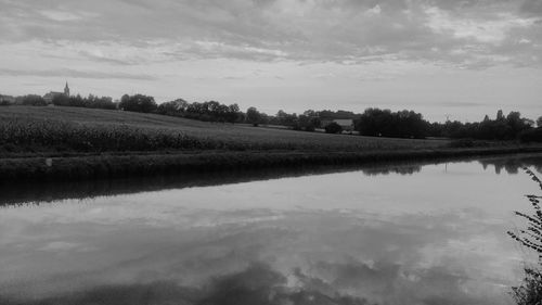 Reflection of trees in calm sea