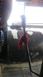 Full length of woman standing on railing