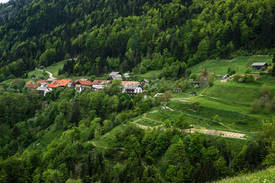 Scenic view of green landscape