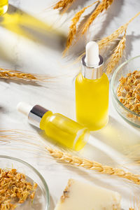 Wheat essential oils and wheat germ. skin and hair care. selfcare, organic treatment