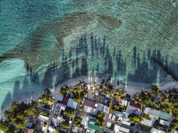 Houses amidst trees at thulusdhoo island, kaafu atoll, maldives