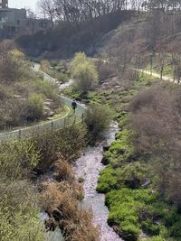 High angle view of road amidst trees