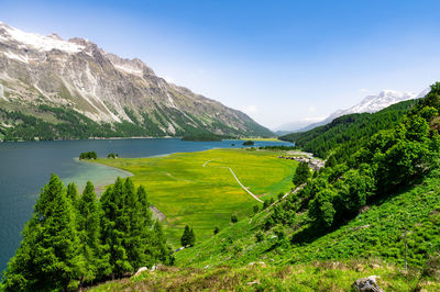 Upper engadine, lake sils, and the village of isola, photographed from above in summer.