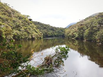 Scenic view of lake by trees against sky