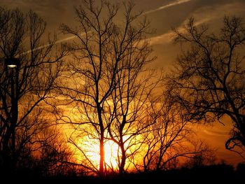 Silhouette bare trees on landscape against sunset sky