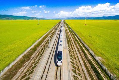 High angle view of bullet train amidst flower field