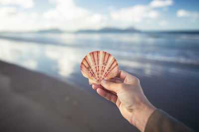 Close-up of hand holding shell over sea