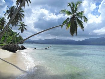 Slanted palm tree at beach against cloudy sky