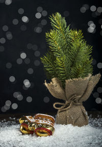 Close-up of christmas tree in snow