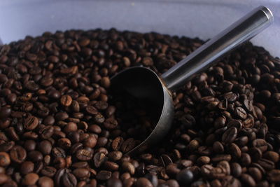 Close-up of coffee beans