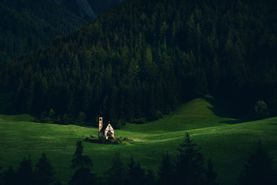 People on grassy field against trees on mountain