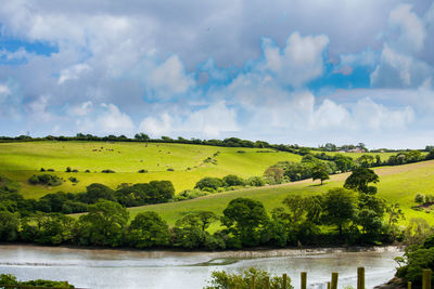 Scenic view of river by field against sky