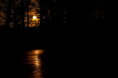 Silhouette trees by illuminated street against sky at night