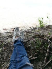 Low section of person wearing shoes on land