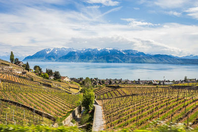 Scenic view of landscape against sky