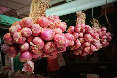 Close-up of pink flowers for sale