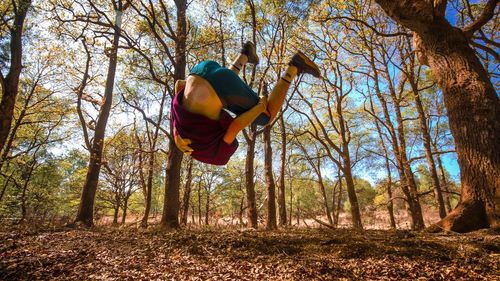 Low angle view of man hanging on tree trunk in forest